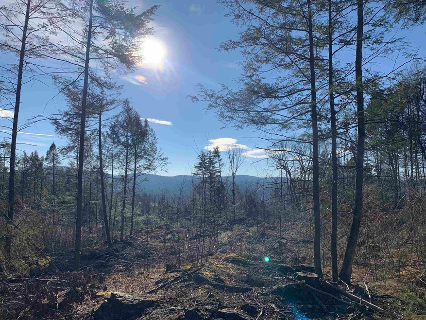 9 Scotland Rd, Winchester, NH 03470 - photo 1