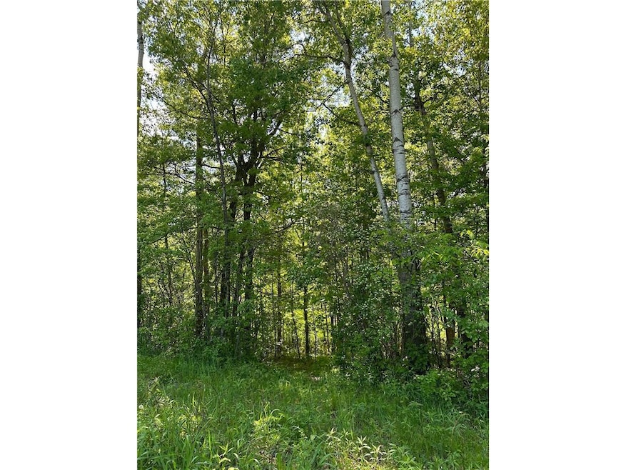 TBD 140th Street St, Amery, WI 54001 - photo 1