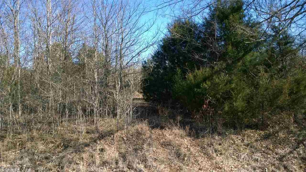 0 Jeri Ann St unit 15002788, Oak Grove, AR 72450 - photo 1