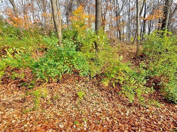 0 Cristland Hill Rd, Thornville, OH 43076 - photo 1