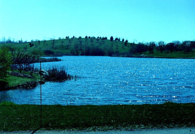 Main View
