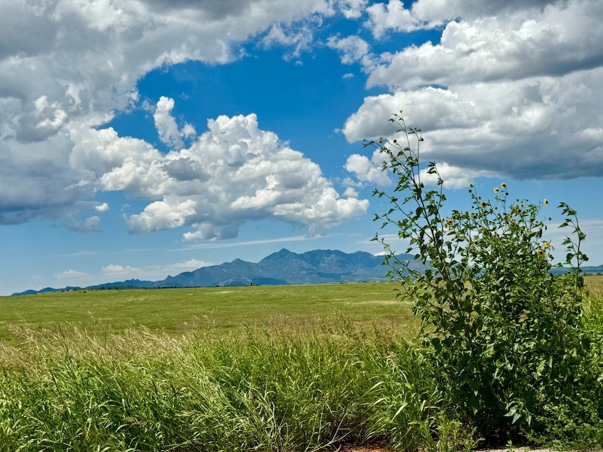 Santa Ritas Mtns