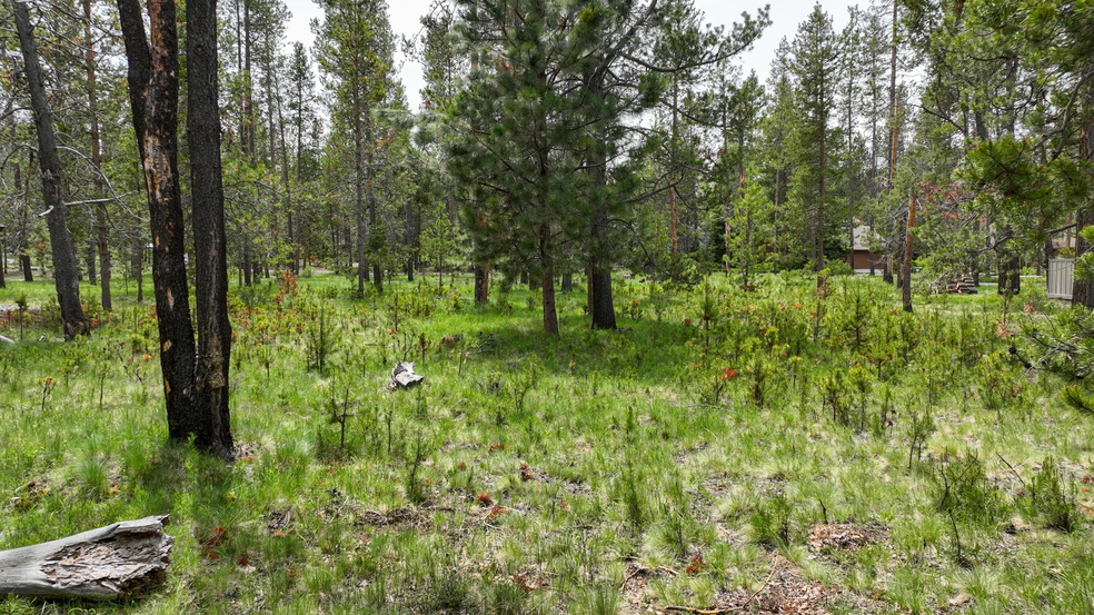 17911 Catkin Ln unit 3, Sunriver, OR 97707 - photo 1