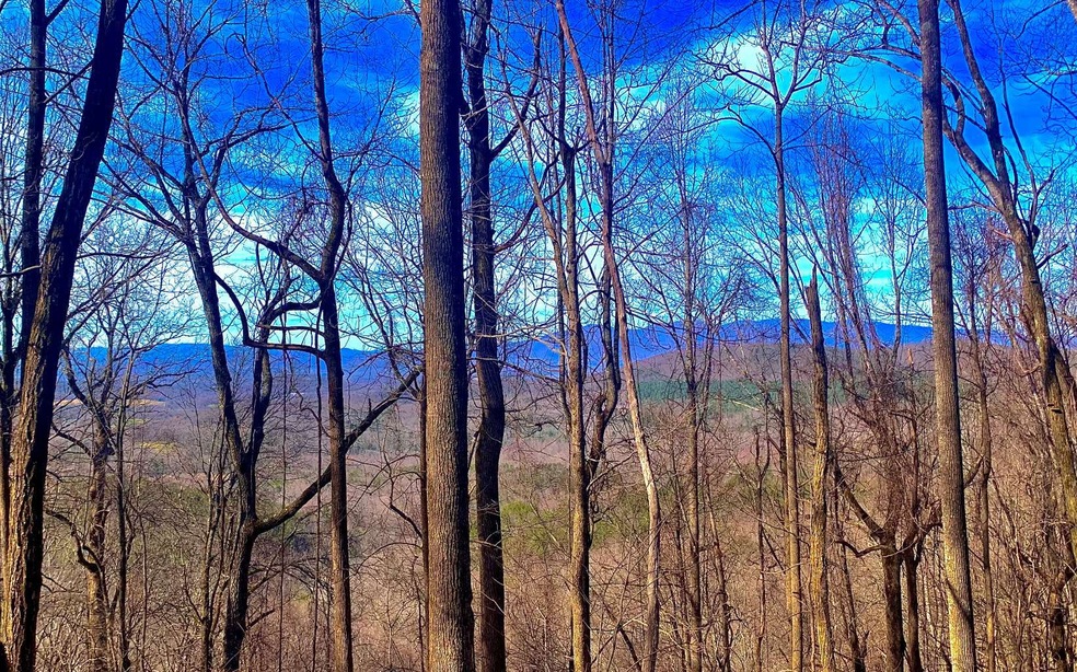 LT 67 Mealer Rd, Ellijay, GA 30536 - photo 1