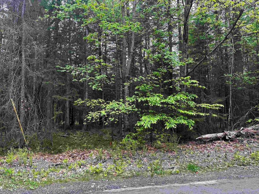 14 Oak Ln, Grantham, NH 03753 - photo 1