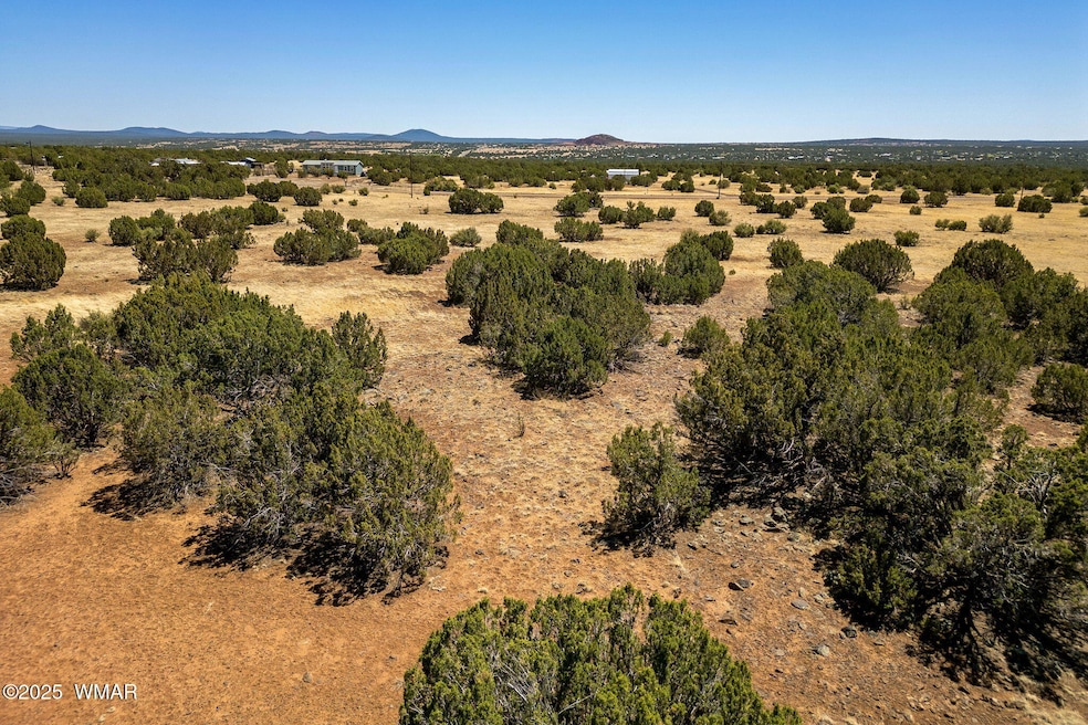 8770SupancheckRd-ShowLow-AZ-13