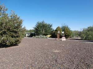 Tohono Krause 001