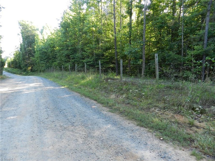 0 Bethel Lucas Rd, Asheboro, NC 27205 - photo 1