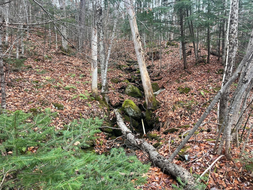 Lot 1 & 2 Thistle St, Upton, ME 04261 - photo 1