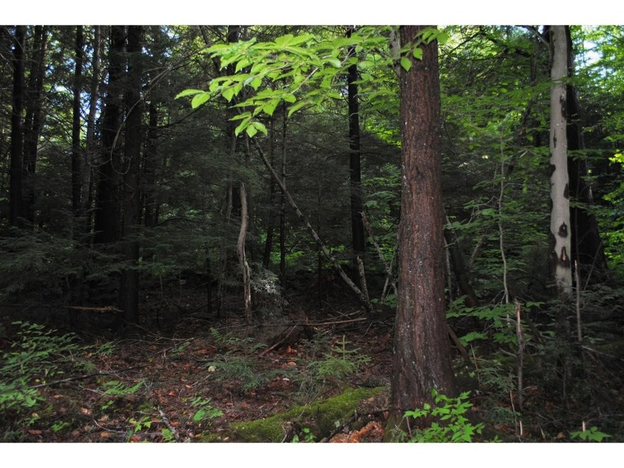 12-1086 Chapel Hill Rd, Whitingham, VT 05361 - photo 1