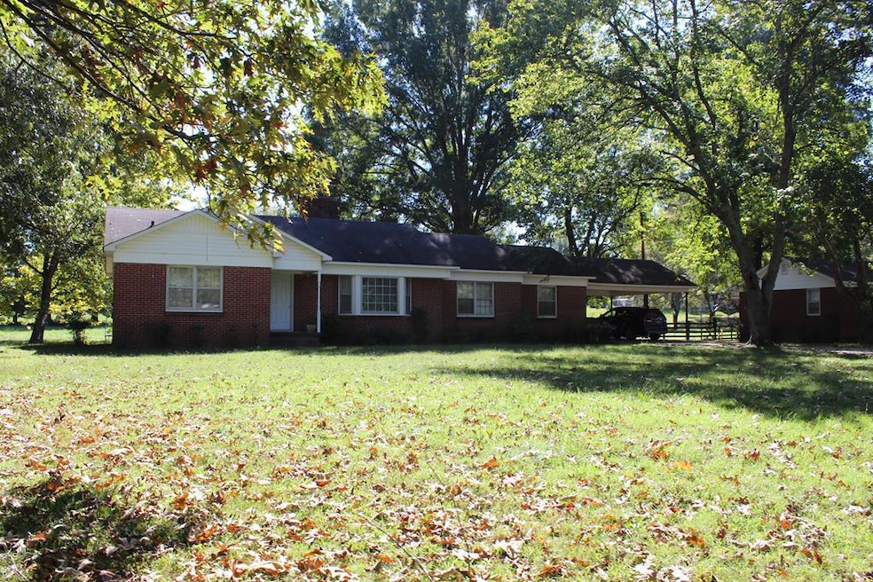 Main View