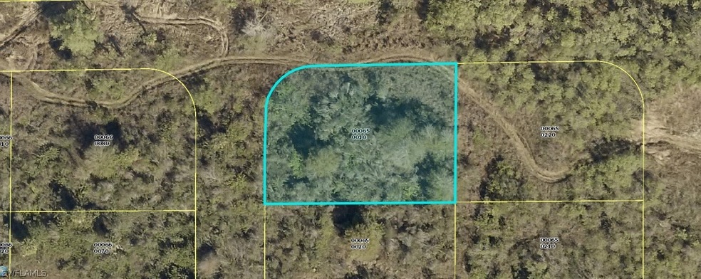 0 Access Undetermined unit 219057449, Lehigh Acres, FL 33974 - photo 1