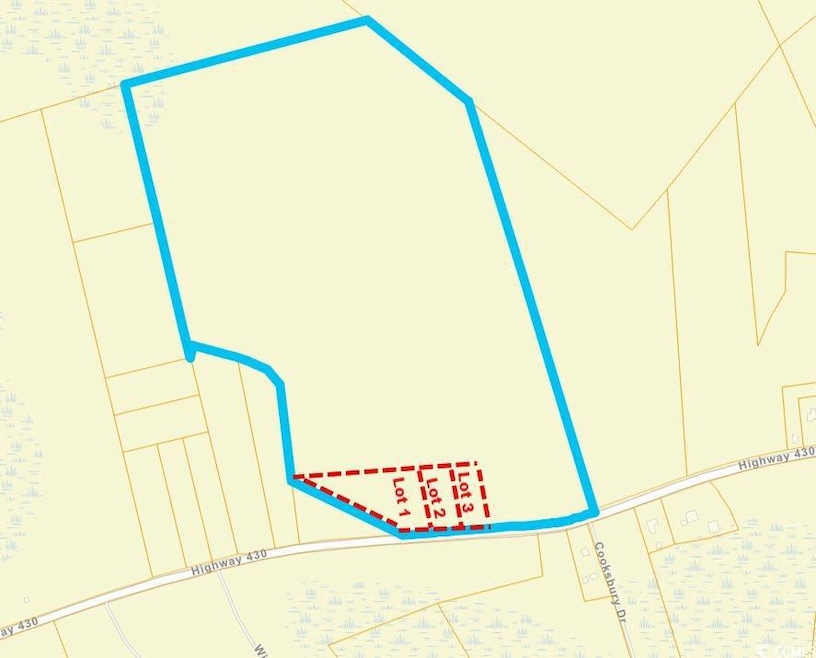 Lot 3 Highway 430, Nichols, SC 29581 - photo 1