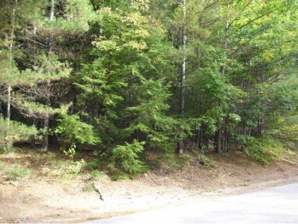 0 Beechnut Dr unit 4166260, Conway, NH 03860 - photo 1