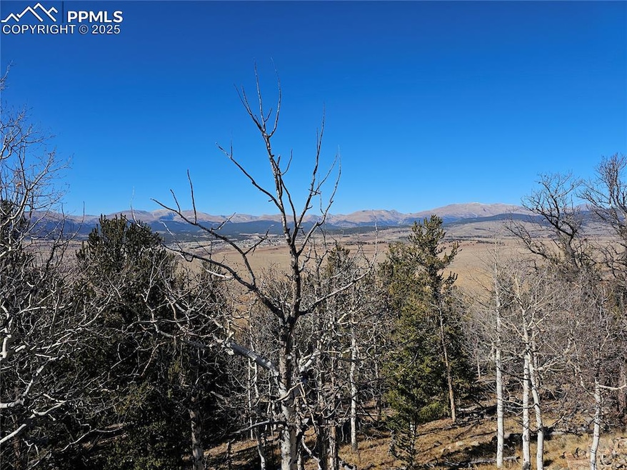5585 Middle Fork Vista, Fairplay, CO 80440 - photo 1