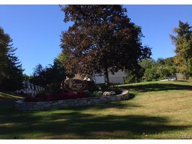 87 Chestnut St unit F, Bethel, CT 06801 - photo 1