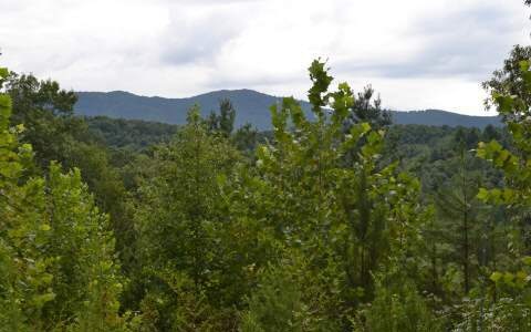# 4 Antler Ridge Rd, Ellijay, GA 30540 - photo 1