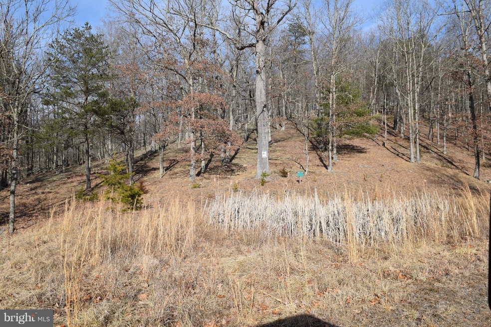 21 Ewing Dr, Moorefield, WV 26836 - photo 1