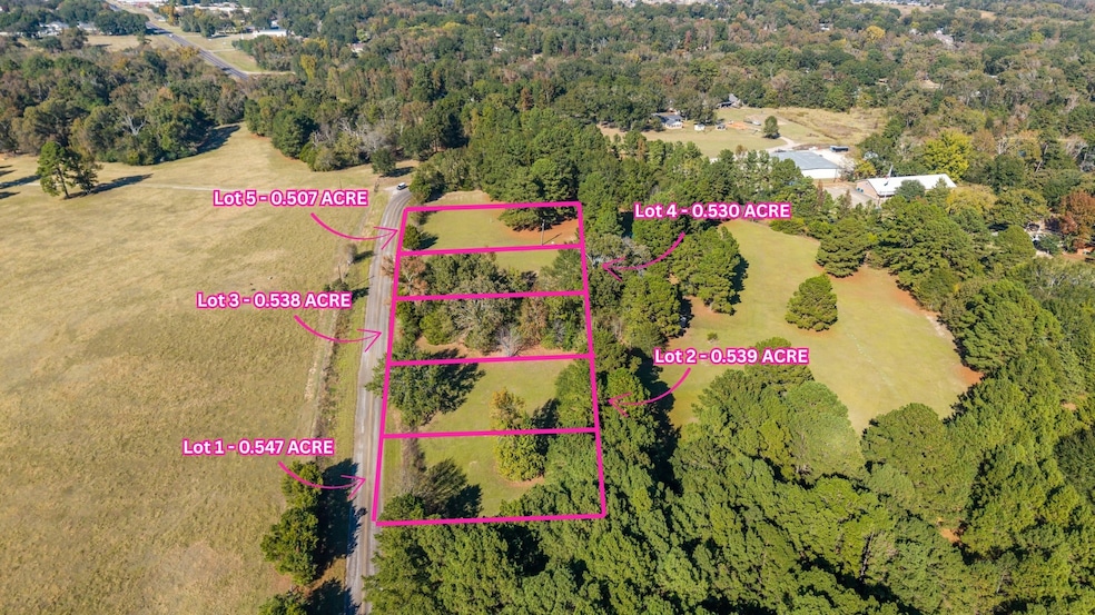 TBD County Road 2174 Lot 4, Whitehouse, TX 75791 - photo 1