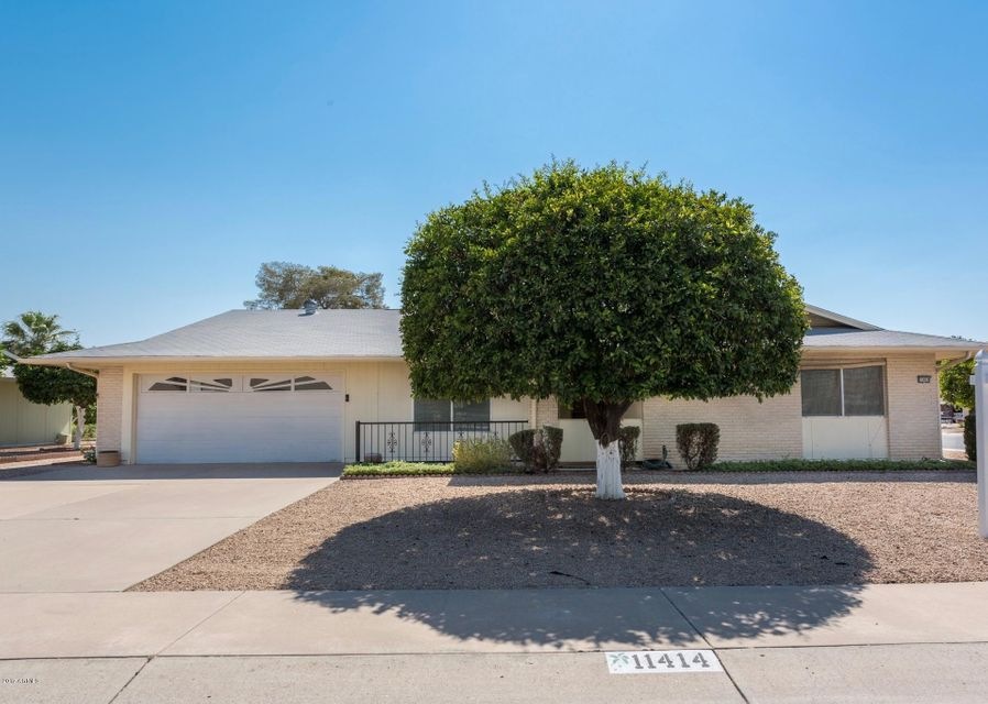 Front Yard Straight (1)