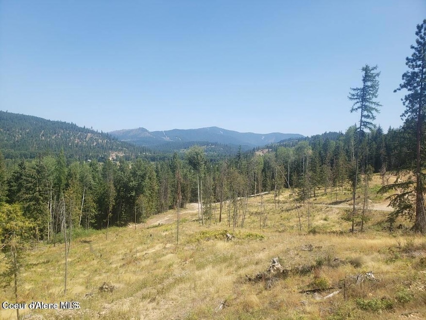 Lot 2 of the Replat of Lot 2 Blk 1, Kingston, ID 83839 - photo 1