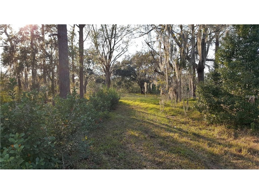 Previous Driveway