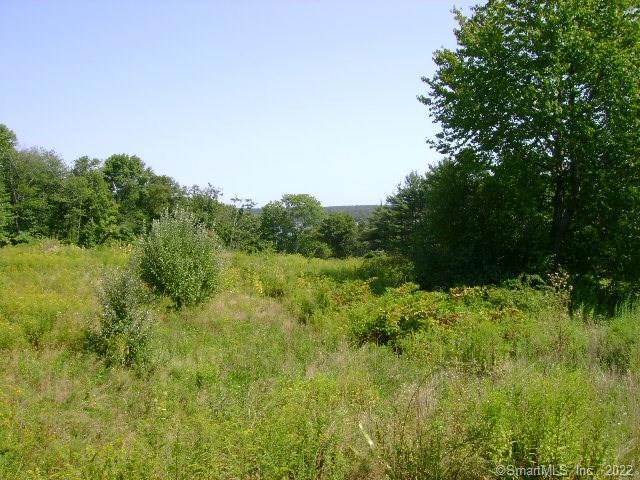 LOT 13 Highland Terrace, East Hampton, CT 06424 - photo 1