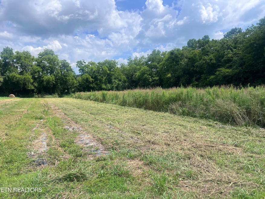 0 Nibor Way, Newport, TN 37821 - photo 1