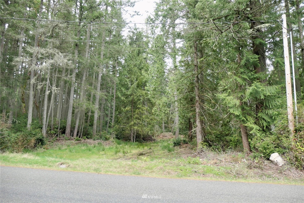 11411 Guthrie Rd, Anderson Island, WA 98303 - photo 1