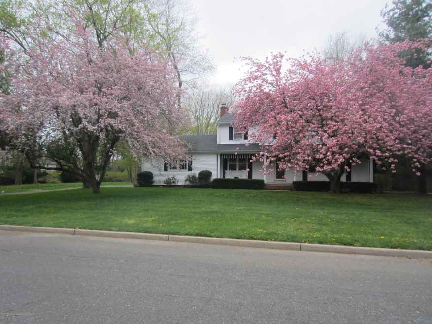 Cherry Blossom 1 front