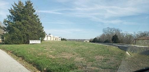 000 Hoot Owl Point, Ruth B Rural Township, MO 65686 - photo 1