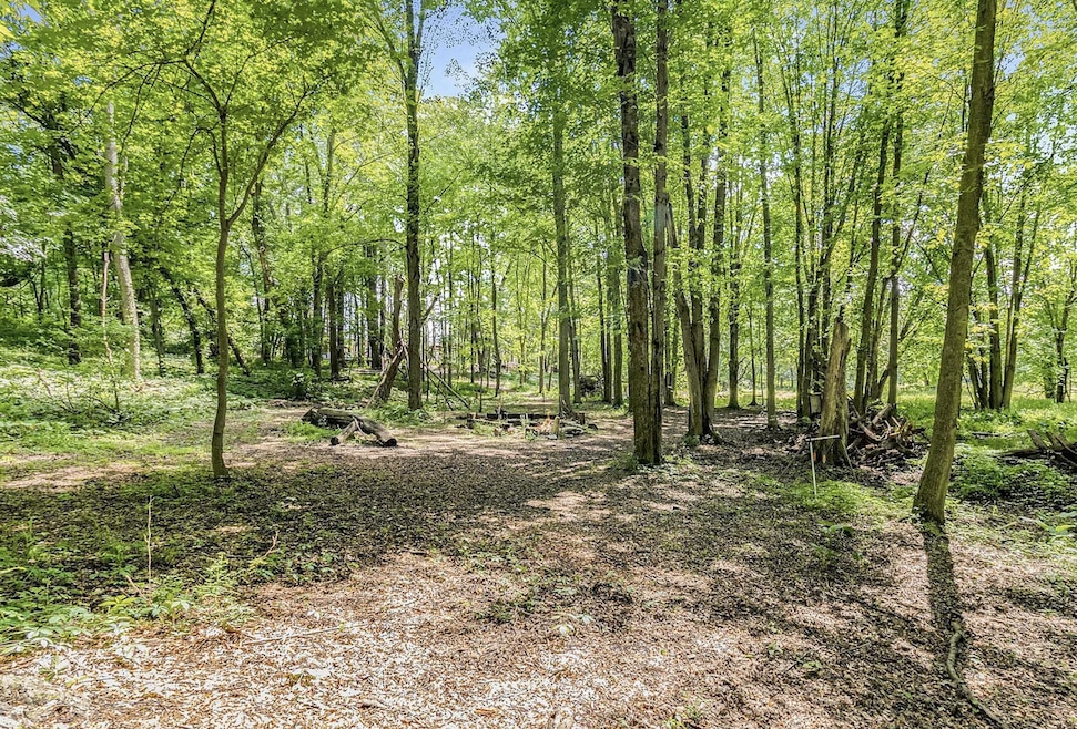 2407 Gale Rd, Eaton Rapids, MI 48827 - photo 1