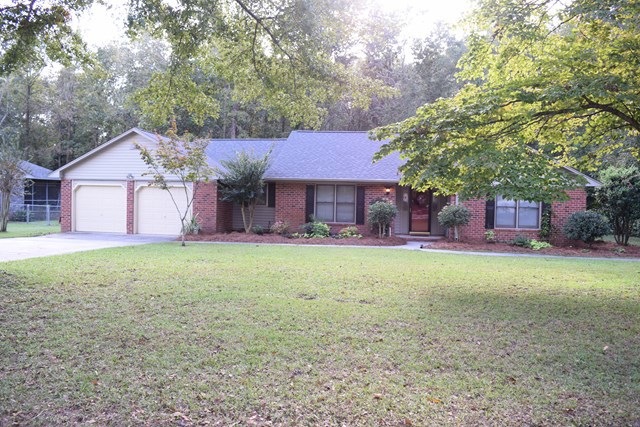 Main View