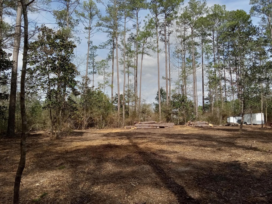 Jones J W Hollington #2