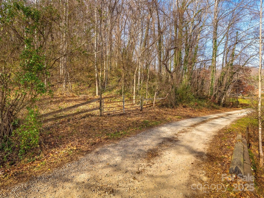 99999 Bay Horse Trail, Candler, NC 28715 - photo 1