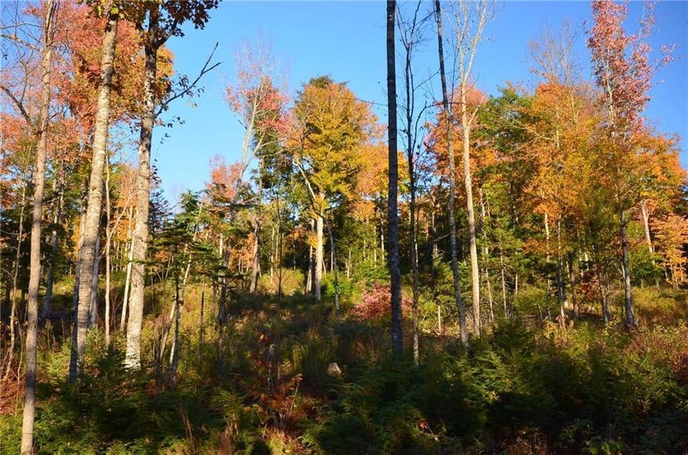 Maine Land for Sale in Sebec, Maine