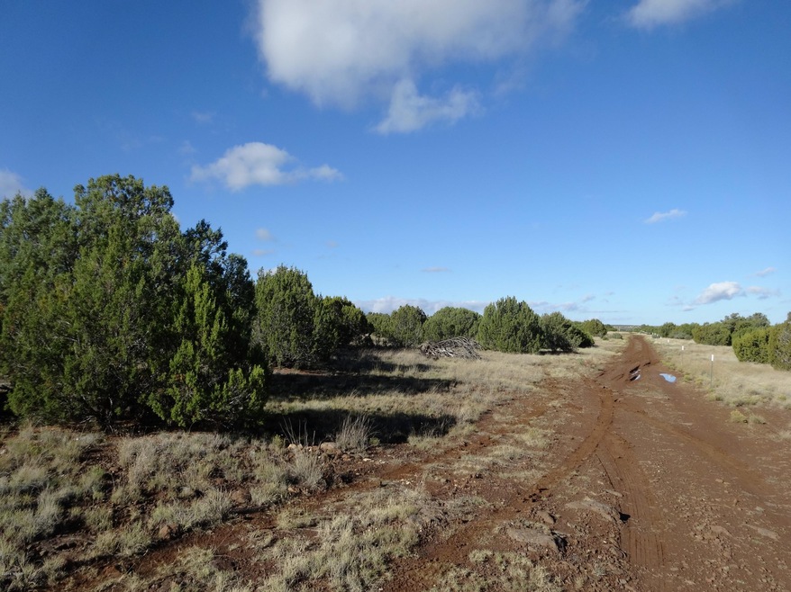 8575 Powells Ln, Show Low, AZ 85901 - photo 1