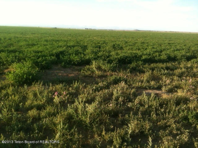 photo (15)