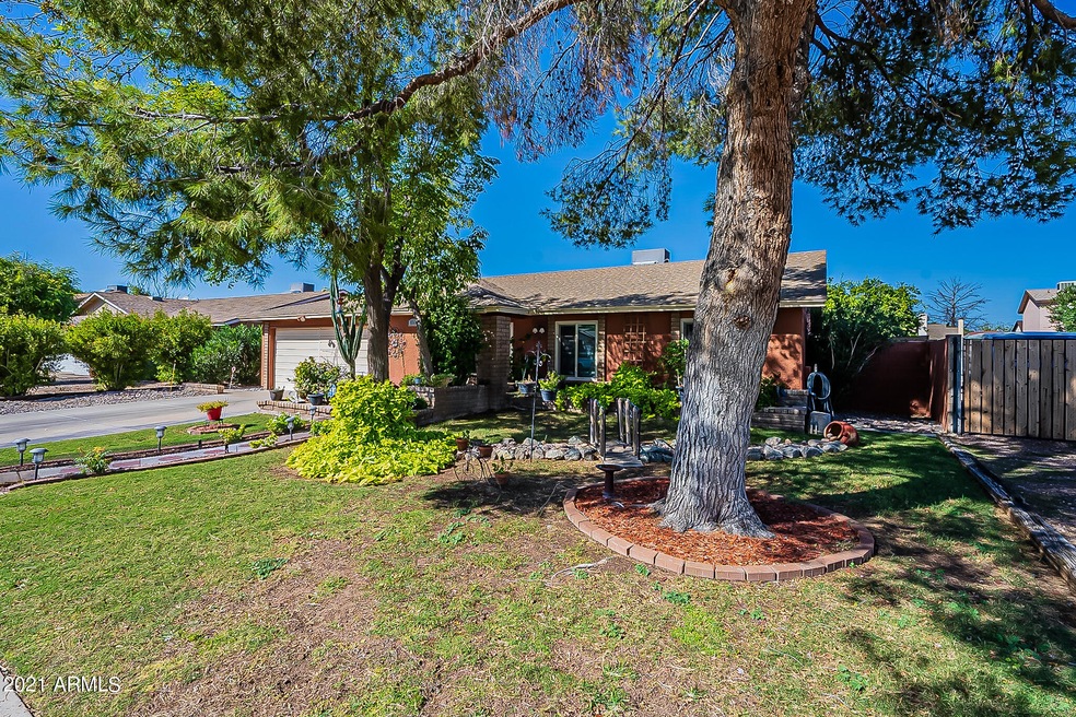 Front Yard