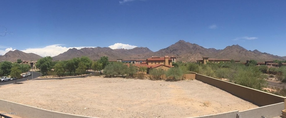 Silverleaf 3679
