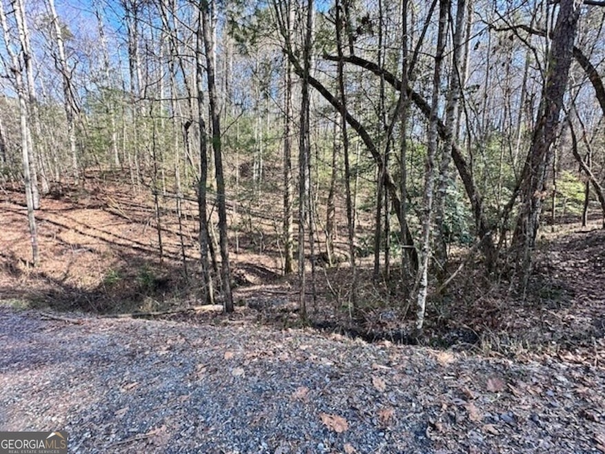 LOT 3764-R Eagle Mountain Dr, Ellijay, GA 30540 - photo 1