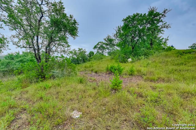 10014 Ivory Canyon, San Antonio, TX 78255 - photo 1