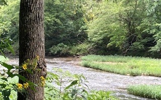 LT813 Lonesdale Ln, Oakman, GA 30732 - photo 1