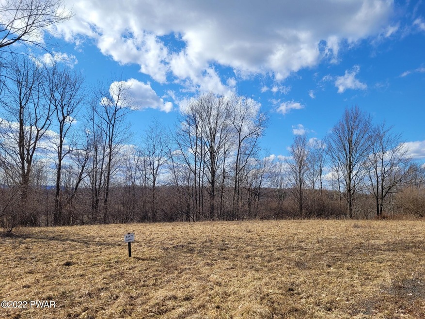 0 Summit View Dr, Cherry Ridge Township, PA 18431 - photo 1