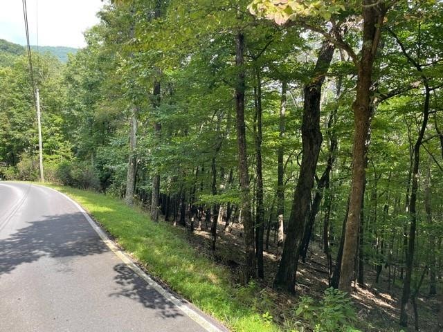 This .86 acre lot has a gentle downslope which wou
