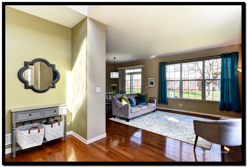 24018 Walnut Cir unit 1, Plainfield, IL 60585 - photo 1