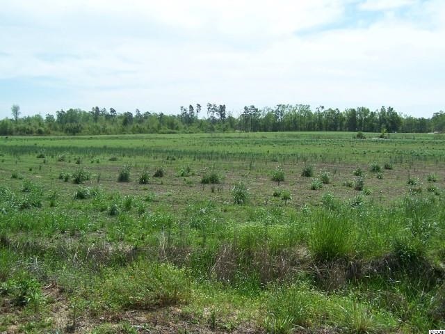 3 acres Pee Dee Hwy, Conway, SC 29527 - photo 1