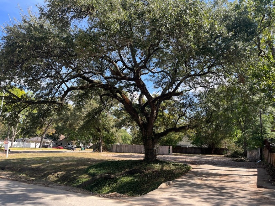 4252 Apollo St, Houston, TX 77018 - photo 1