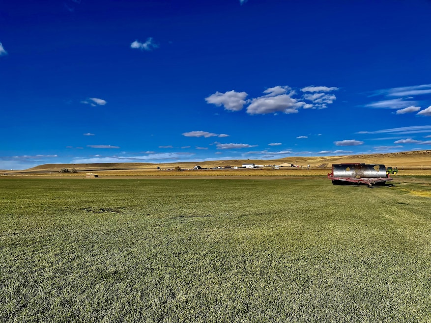 Sod Fields