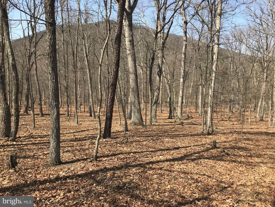 0 Fort Run Rd unit 1000431344, Moorefield, WV 26836 - photo 1